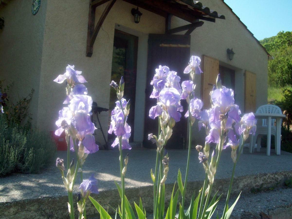 Gite Les Iris La Robine-Sur-Galabre Eksteriør bilde